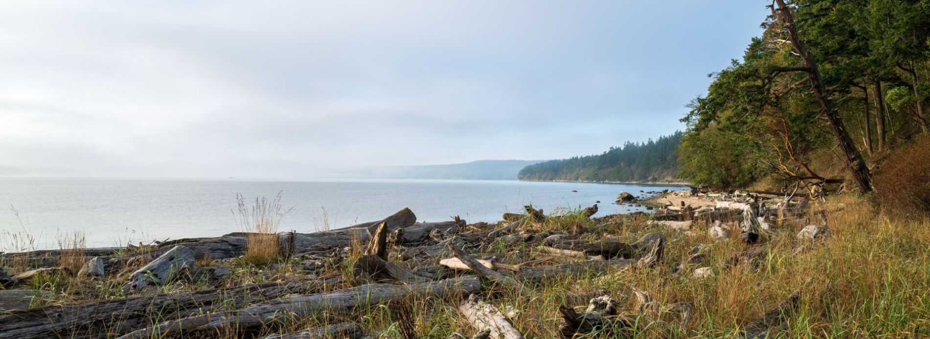 Everything You Need To Know Before Visiting Lopez Island  Feature Image